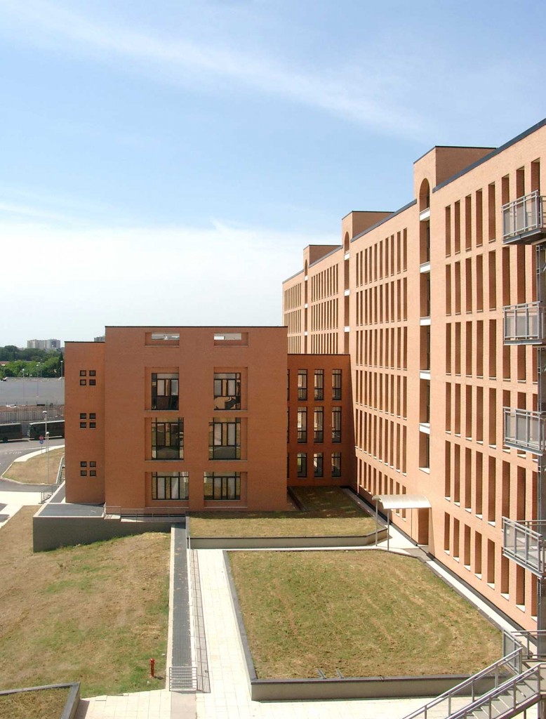 Cecchiggnola - Dettaglio