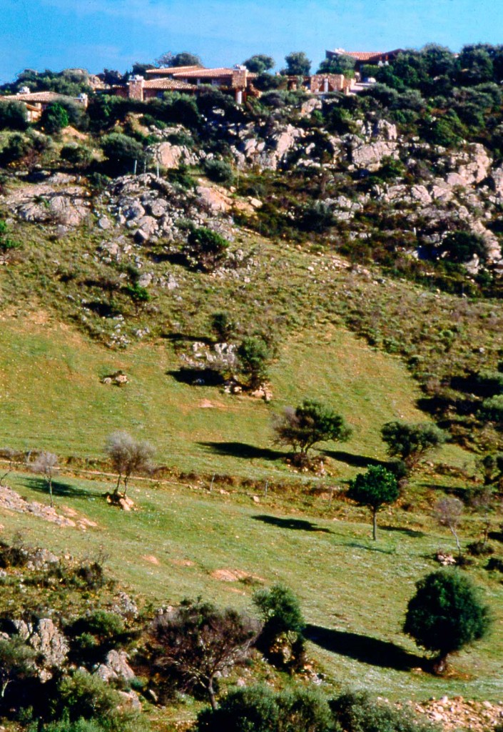 Porto San Paolo - Veduta panoramica