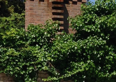 Torre dell'orologio - Particolare