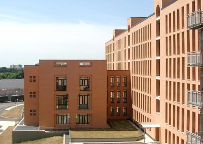 Cecchiggnola - Dettaglio